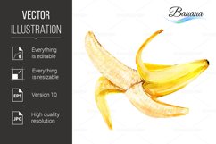 Banana Product Image 1
