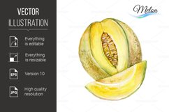 Melon Product Image 1