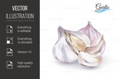 Garlic Product Image 1