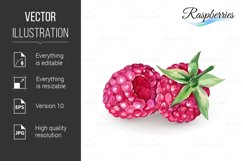 Raspberry Product Image 1