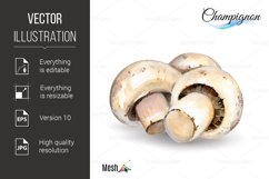 Watercolor champignon Product Image 1