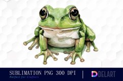 Funny and Cute Frog Watercolor Clipart Product Image 1
