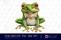 Funny and Cute Frog Illustration Clipart Product Image 1