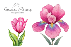 Watercolor Garden Flowers Clipart Product Image 1