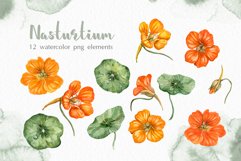 Watercolor garden flowers nasturtium Product Image 2