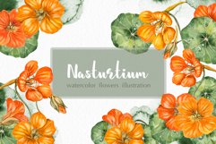 Watercolor garden flowers nasturtium Product Image 1