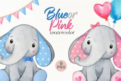 Watercolor gender reveal clipart png gender reveal elephant png gender reveal invitations