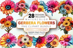 Watercolor Gerbera Flowers Clipart Bundle Product Image 1