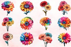 Watercolor Gerbera Flowers Clipart Bundle Product Image 2