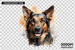 watercolor german shepherd clipart, german shepherd png, dog clipart watercolor, german shepherd sublimation, police dog digital art, german shepherd printable png, pet lover sublimation, cute german shepherd art, german shepherd digital clipart, loyal do