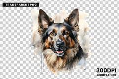 watercolor german shepherd clipart, german shepherd png, dog clipart watercolor, german shepherd sublimation, police dog digital art, german shepherd printable png, pet lover sublimation, cute german shepherd art, german shepherd digital clipart, loyal do