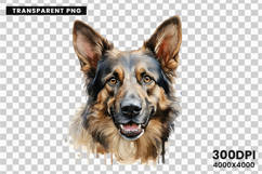 watercolor german shepherd clipart, german shepherd png, dog clipart watercolor, german shepherd sublimation, police dog digital art, german shepherd printable png, pet lover sublimation, cute german shepherd art, german shepherd digital clipart, loyal do