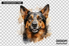 watercolor german shepherd clipart, german shepherd png, dog clipart watercolor, german shepherd sublimation, police dog digital art, german shepherd printable png, pet lover sublimation, cute german shepherd art, german shepherd digital clipart, loyal do