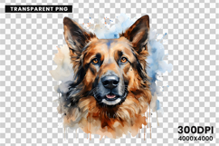 watercolor german shepherd clipart, german shepherd png, dog clipart watercolor, german shepherd sublimation, police dog digital art, german shepherd printable png, pet lover sublimation, cute german shepherd art, german shepherd digital clipart, loyal do