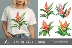 Watercolor Ginger Flower Plant Clipart Product Image 1
