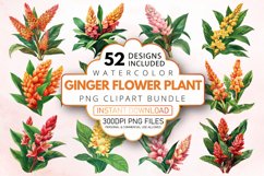 Watercolor Ginger Flower Plant Clipart Bundle Product Image 1
