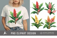 Watercolor Ginger Flower Plant Clipart Product Image 1