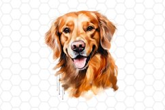 Watercolor Golden Retriever Clipart