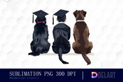 Graduation Animals Back View Watercolor Clipart Product Image 1