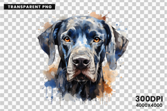 watercolor great dane clipart, great dane png, dog clipart watercolor, great dane sublimation design, gentle giant dog art, great dane printable png, pet lover sublimation, cute great dane clipart, great dane digital art, large dog breed design