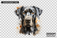 watercolor great dane clipart, great dane png, dog clipart watercolor, great dane sublimation design, gentle giant dog art, great dane printable png, pet lover sublimation, cute great dane clipart, great dane digital art, large dog breed design