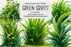 Watercolor Green Grass Clipart Product Image 1
