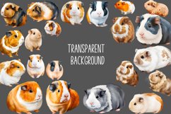 Watercolor Guinea pig Clipart Bundle