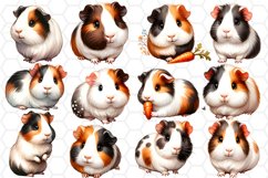 Watercolor Guinea pig Clipart Bundle Transparent PNG