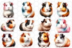 Watercolor Guinea pig Clipart Bundle Transparent PNG