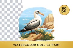 Watercolor Gull Clipart , Animal Sublimation PNG Product Image 1