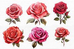 Hand Drawn Rose Flower Watercolor Clipart Bundle Product Image 4