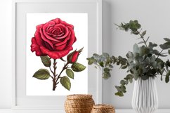 Hand Drawn Rose Flower Watercolor Clipart Bundle Product Image 5