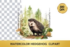 Watercolor hedgehog Clipart, Animal Sublimation PNG Product Image 1