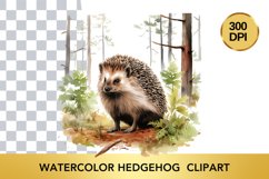 Watercolor hedgehog Clipart, Animal Sublimation PNG Product Image 1