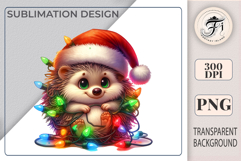 Cute cartoon hedgehog PNG for woodland and fall designs. Perfect for nursery art, stickers, cards, and scrapbooking.