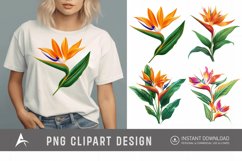 Watercolor Heliconia Flower Plant Clipart Product Image 1