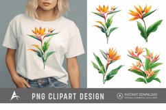 Watercolor Heliconia Flower Plant Clipart Product Image 1