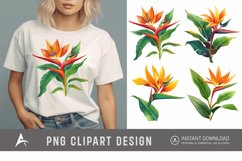 Watercolor Heliconia Flower Plant Clipart Product Image 1