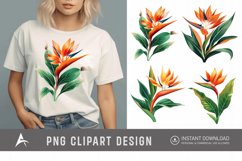 Watercolor Heliconia Flower Plant Clipart Product Image 1