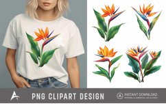 Watercolor Heliconia Flower Plant Clipart Product Image 1