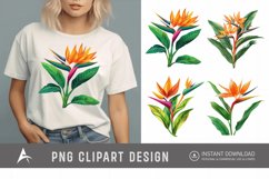 Watercolor Heliconia Flower Plant Clipart Product Image 1