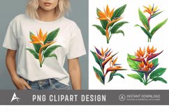 Watercolor Heliconia Flower Plant Clipart Product Image 1