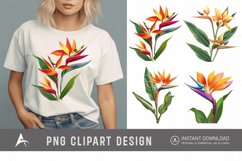 Watercolor Heliconia Flower Plant Clipart Product Image 1