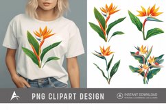Watercolor Heliconia Flower Plant Clipart Product Image 1