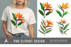 Watercolor Heliconia Flower Plant Clipart Product Image 1