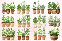 Watercolor Herbs in Pots Clipart Bundle Product Image 2