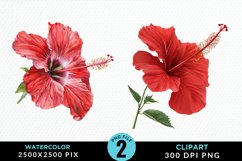 Watercolor Hibiscus Flowers Artwork Clipart Product Image 1