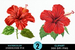 Watercolor Hibiscus Flowers Artwork Clipart Product Image 1