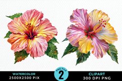 Watercolor Hibiscus Flowers Exquisite Clipart Product Image 1