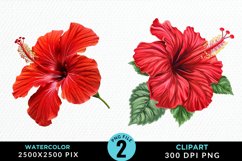 Watercolor Hibiscus Flowers Exquisite Clipart Product Image 1